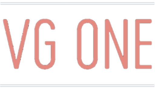 VG One